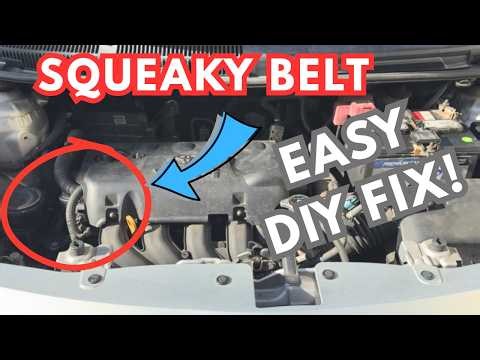 How to Fix a Squeaky Belt - Toyota Yaris