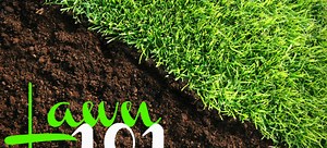 Your Ultimate Lawn Care Cheat Sheet | DoItYourself.com