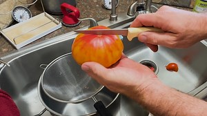 Secrets Of The Tomato: Gardening Tips For Amazing Tomatoes! | Stoney Ridge Farmer