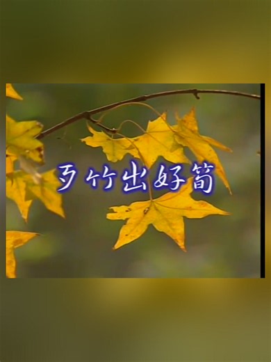 阿吉仔《歹竹出好笋》｜闽南流行歌曲
