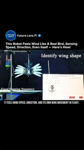 Bird-Inspired Robot Wings Can Feel the Air Biohybrid Perception Explained #robot #shorts #technology