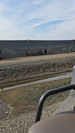 ahuevo perrs 🤪🫡🤙✌️