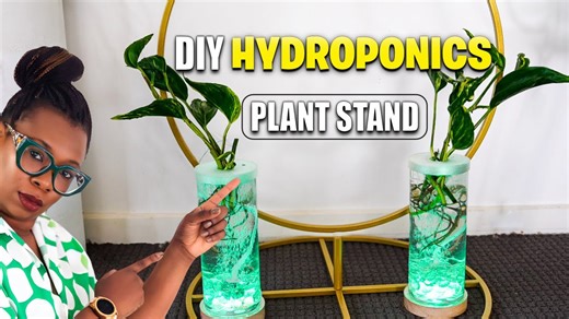 DIY Hydroponics Project: Creating a Glowing Plant Stand