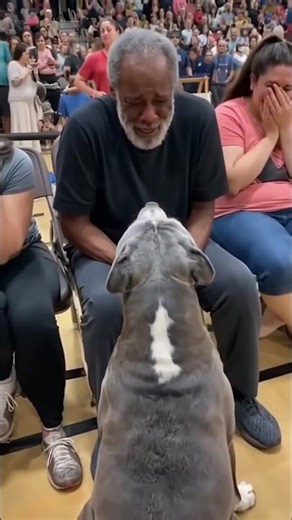 They Let Rescue Dogs Choose Their Own Families