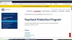 Small business loans from COVID-19 relief fund went to over 200 publicly traded companies