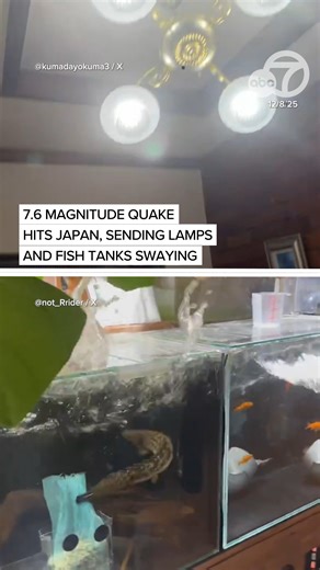 A powerful 7.6-magnitude earthquake struck off the coast of northern Japan on Monday, rattling large parts of the country, including one resident's fish tank shaking wildly and another's lamp swaying as the earthquake struck. | ABC7 News