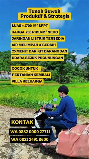 Tanah Sawah Produktif & Strategis di Bojong Purwakarta – View Indah, Air Melimpah! #sawah #wisata