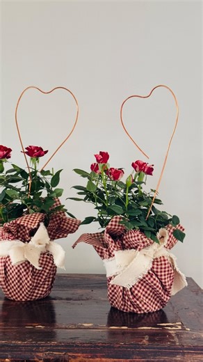 ANNIE DIAMOND💎Most Lovely Things Blog on Instagram: "Let's make a $4 plant from the grocery store a little better! Add a square piece of fabric (could be a linen napkin), leave the plastic wrap so it doesn't leak, tie a ribbon around the fabric to secure it, then make a heart stake using a cookie cutter to help shape a piece of copper wire into a heart. You can buy copper wire by the foot at hardware stores. #valentines #diyvalentine"