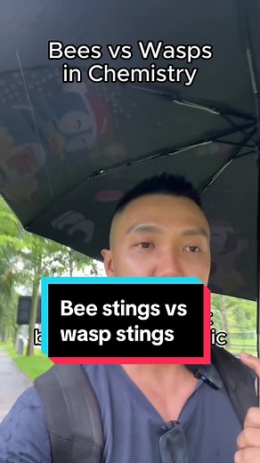 Bee Stings vs Wasp Stings: Acidic vs Alkaline Reactions