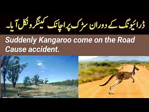 Danger on Country Roads How Speed Caused a Crash | Footage of ABS Deployment Kangaroo on Rural Road