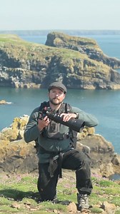 148K views · 1.2K reactions | Comment “bif” and I’ll send you my Bird...