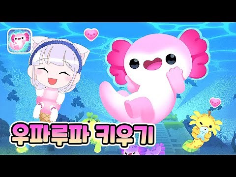 Raise a cute Uparupa! Axolochi Game