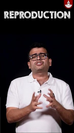 Features of Phylum Porifera|Sponge Characteristics &Classification Explained#shorts #phylumporifera