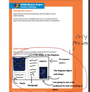 Sylym Module ProjectScience ChallengePlanning after Lesson 2... | Filo
