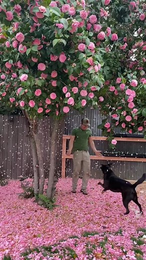 Urban Farmstead on TikTok