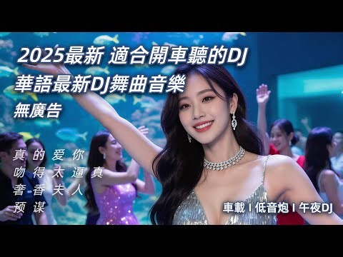【無廣告】💥2025 夜店狂歡王！DJ 炸場混音一放，全場嗨到瘋掉停不下！DJ✔2025最火歌曲DJ Remix 抖音版 🎶Chinese DJ舞曲串烧 2025🎧最好的音樂👍