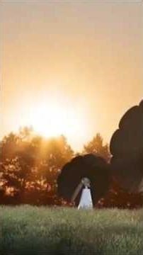 Solar Flower That Powers Your Home! #solar flower