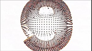 Movie The Green Inferno Full HD