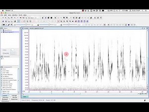 Part 4: Multi line displays (English)