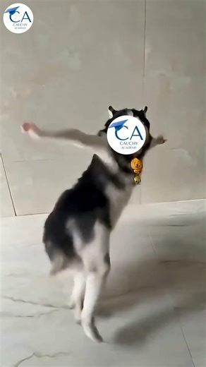 Rutherford's Alpha Scattering Experiment #knowledge