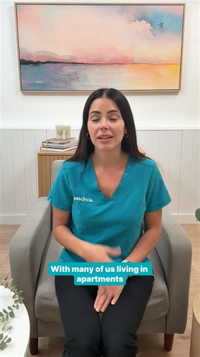 At Pet Circle we are all about inclusivity ✨ so that includes all our animal friends, great and small 💕🐰🐢🐓🐠 #pets #petlovers #smallpetsbiglove #allcreaturesgreatandsmall | Pet Circle