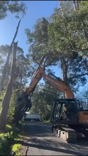 #warragul #landclearing #arboristsofinstagram
