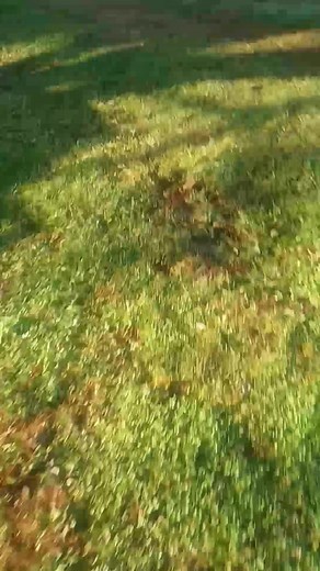 670K views · 19K reactions | !CASH REWARD! Last night a red small...