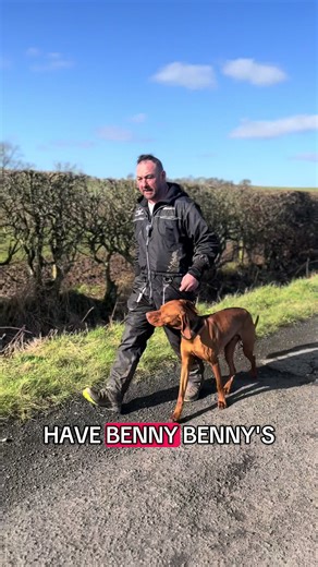 One-on-One Dog Training for Family Protection