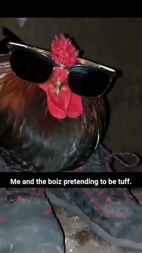 #funny #memes Me and da boiz