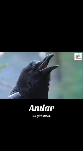 #anılar
