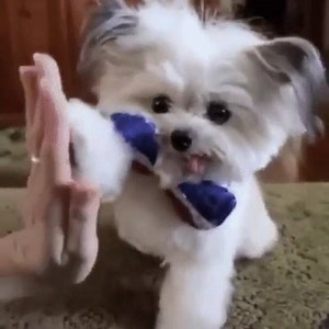 high five GIF  | Funny GIFs | Facebook
