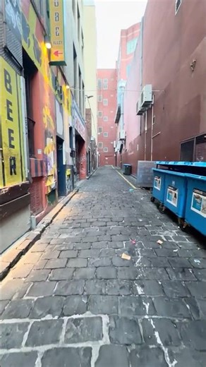 🟡 LANEWAYS OF MELBOURNE - Globe Alley #explore #travel #melbourne #walkingtour #australia
