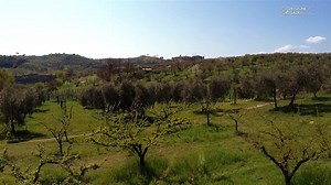 Il Cammino di Francesco collega l'Umbria a Roma sulle tracce del Santo di Assisi, una delle figure più affascinanti della storia medievale. 25 tappe, di cui 7 nella nostra regione con partenza da Labro ed arrivo a San Pietro #surprisinglazio #lazioisme #laziodellemeraviglie | Visit Lazio