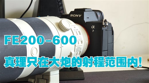 【索尼】200-600大炮实拍教学，有效射程200米，还有谁不服？