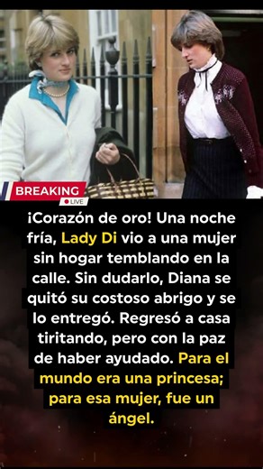 Lo que nadie sabía de la noche en que Lady Di regaló su abrigo a una extraña