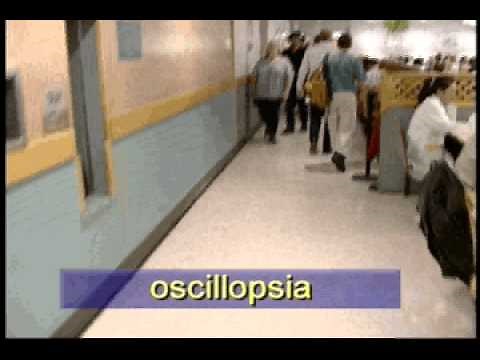 bilosslabfunc.avi