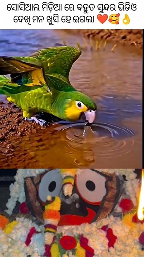 ❤️❤️❤️❤️