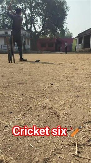 #six #sixers #cricket #shorts #shortvideo #short #shortsfeed #shortsvideo #shortsviral #trending#art