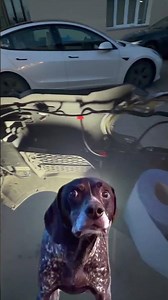 Plus de retour en arrière possible