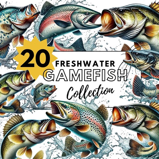 Freshwater Fish Clipart PNG | Game Fish Digital Download | Bass Trout Catfish Walleye PNG for Fishing Designs & Crafts - Etsy
