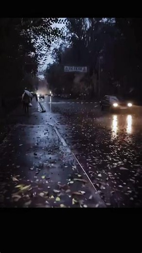 清醒 独立 强大 自渡是成年人的必修课#雨世界观望者 #我是雨幕中的独行者 #雨声心事 #雨天故事 #雨停了送伞毫无意义