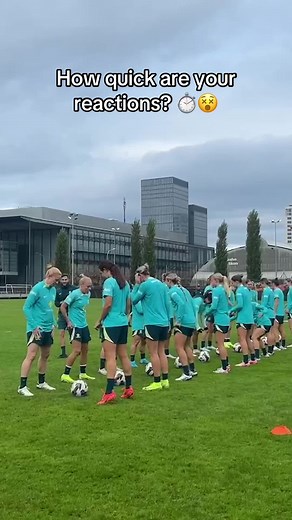 TikTok - Make Your Day