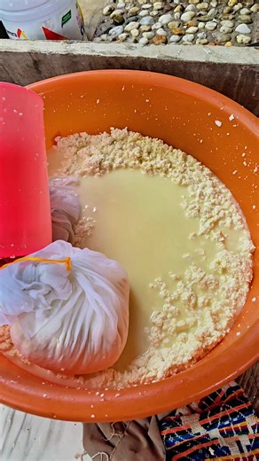 Queso Artesanal: Elaboración Natural y Tradicional