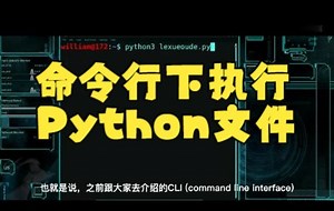 【Python零基础入门技巧】今天教大家命令行下执行Python文件！
