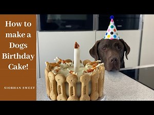 How to make a Dogs Birthday cake