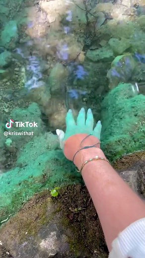 Exploring Plitvice Lakes: A Solo Traveler's Experience