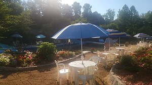 Open Today July 3, 2025. Hours: 10:30am to 5:30pm Admission: Ages 12 and up: $12 Ages 2-11: $10 1 and under is Free with a swim diaper. CASH only! Pack a cooler, bring a lounge chair, and enjoy a day of fun in the sun with us. Please note that we do not have grills here but you are more than welcome to bring a portable grill. 6806 All Healing Springs Rd, Taylorsville, NC 28681 Moving forward, we will have security cameras covering parking as we are having people empty the their trash in our park