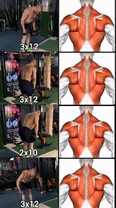 How to Build Wider Backusing Dumbbells. Reverse Grip Bent Over Row@ Incline RowⓇ Pullover Head Supported Bent Over Row3 sets 10-12 reps#kamalc32 #fitness #gym #exercise #workout#workoutroutine#exercisetips#fitnesstips#bodybuilding #backworkout | kamalc32