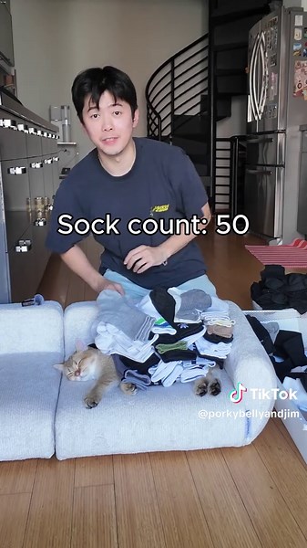 Great Sock Stack — Catlympics Day 4 Cat Sock Stacking