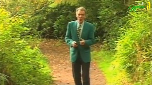 Brian Coll - The Roads To Kildare For great Country Music 24 hours a day tune in to: https://www.kelticcountry.com Sponsor: GaelicArt.com | Irish Music Memories